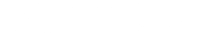 BUSINESS KULTUR NETZWERK